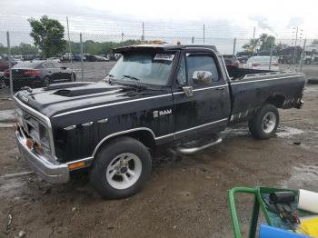  Salvage Dodge D Series