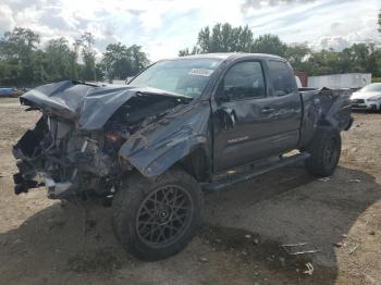  Salvage Toyota Tacoma