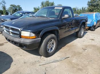  Salvage Dodge Dakota