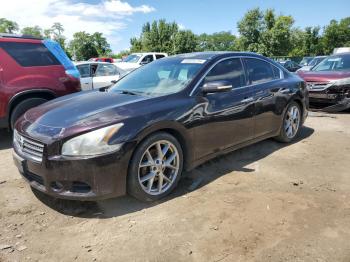  Salvage Nissan Maxima