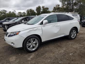  Salvage Lexus RX