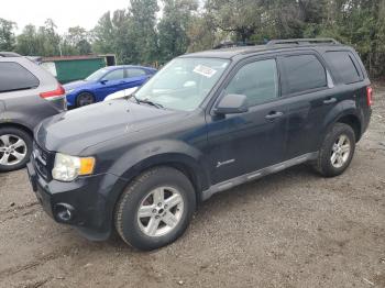  Salvage Ford Escape