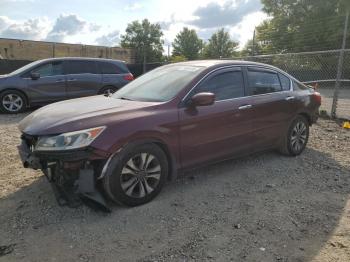  Salvage Honda Accord