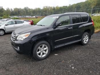  Salvage Lexus Gx