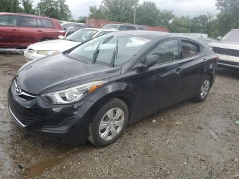  Salvage Hyundai ELANTRA