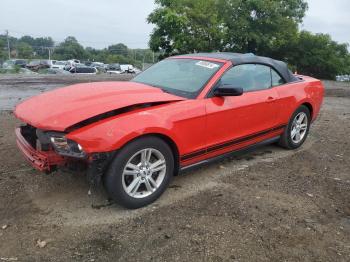  Salvage Ford Mustang