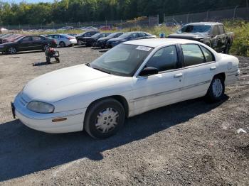  Salvage Chevrolet Lumina