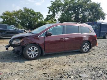  Salvage Honda Odyssey