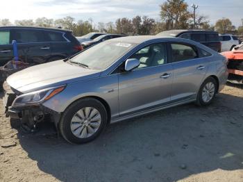  Salvage Hyundai SONATA