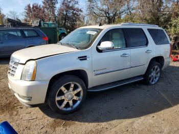  Salvage Cadillac Escalade