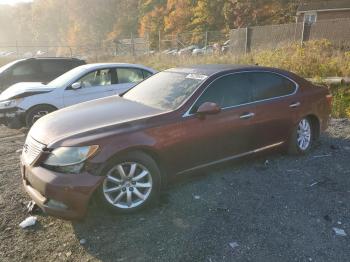  Salvage Lexus LS