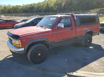  Salvage Dodge Dakota