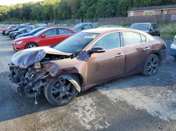  Salvage Nissan Maxima