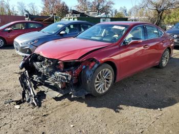  Salvage Lexus Es