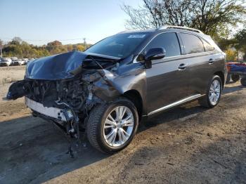  Salvage Lexus RX