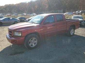  Salvage Dodge Dakota