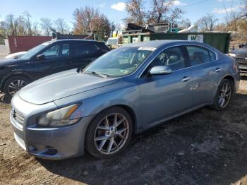  Salvage Nissan Maxima