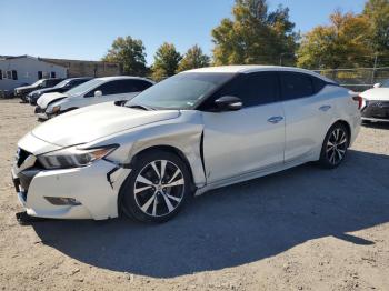  Salvage Nissan Maxima