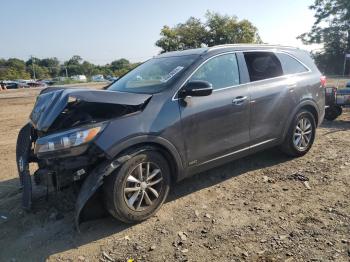  Salvage Kia Sorento