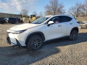  Salvage Lexus NX