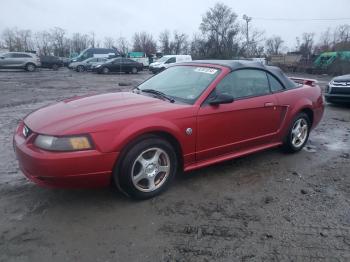  Salvage Ford Mustang