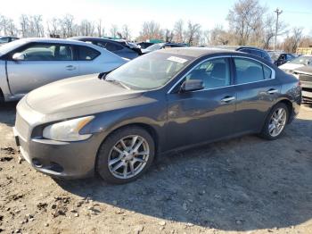  Salvage Nissan Maxima