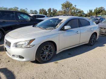  Salvage Nissan Maxima