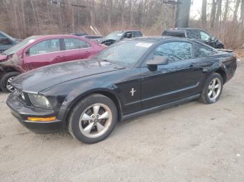  Salvage Ford Mustang