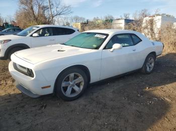  Salvage Dodge Challenger