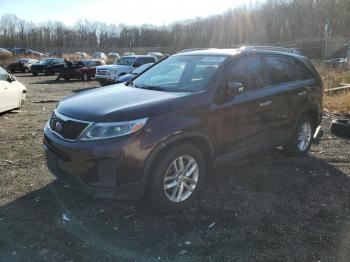  Salvage Kia Sorento