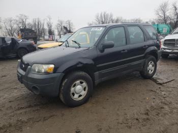  Salvage Ford Escape