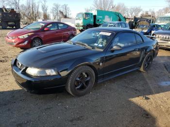  Salvage Ford Mustang