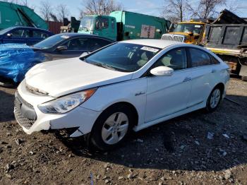  Salvage Hyundai SONATA