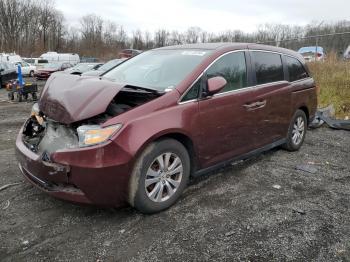  Salvage Honda Odyssey