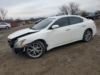  Salvage Nissan Maxima