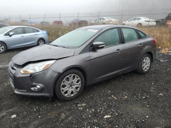  Salvage Ford Focus