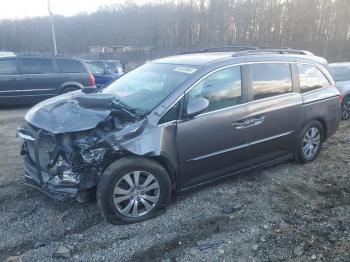  Salvage Honda Odyssey