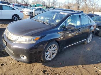  Salvage Lexus Hs