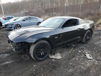  Salvage Ford Mustang