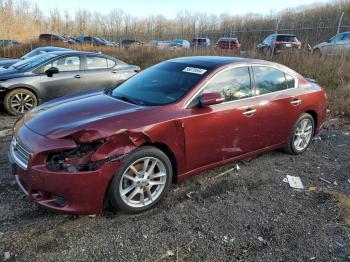  Salvage Nissan Maxima