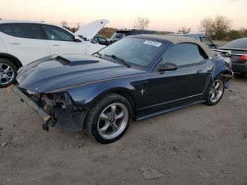  Salvage Ford Mustang