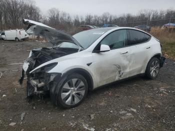  Salvage Tesla Model Y