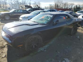  Salvage Dodge Challenger