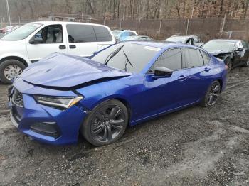  Salvage Acura TLX