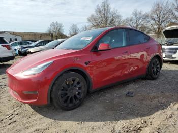  Salvage Tesla Model Y