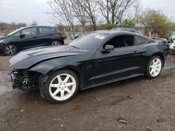  Salvage Ford Mustang