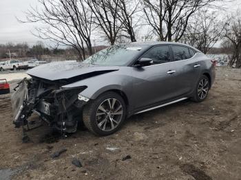  Salvage Nissan Maxima