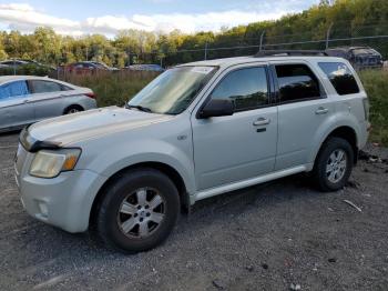  Salvage Mercury Mariner