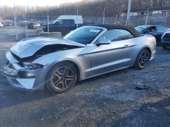  Salvage Ford Mustang