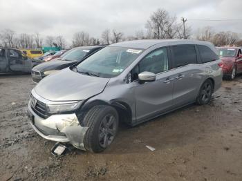  Salvage Honda Odyssey